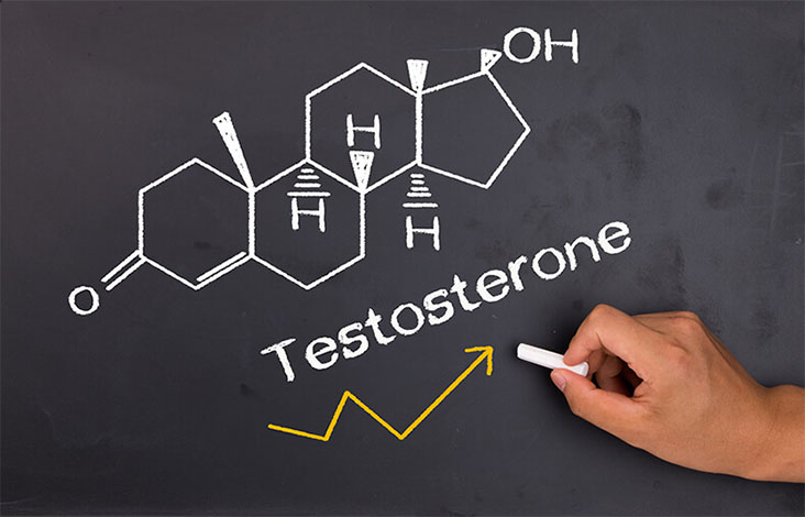 Тестостерон в бодибилдинге