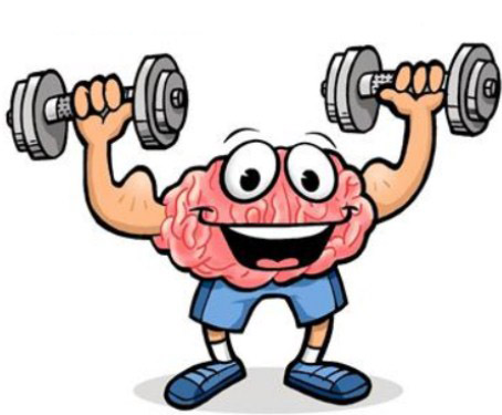 Ментальная связь мозг-мышцы